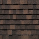 Ev_AutumnBrown_09_E
