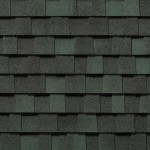 Ev_BorealGreen_09_E
