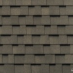 Ev_FossilWood_13_E