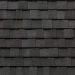 Ev_ShadowBlack_09_E