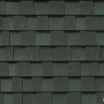 Mys_ForestGreen_11_E
