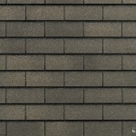 YukSB_FossilWood_13_E